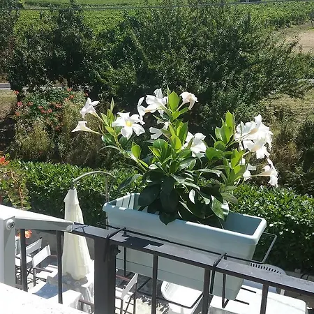 La Terrazza Del Barbaresco 3* Neviglie